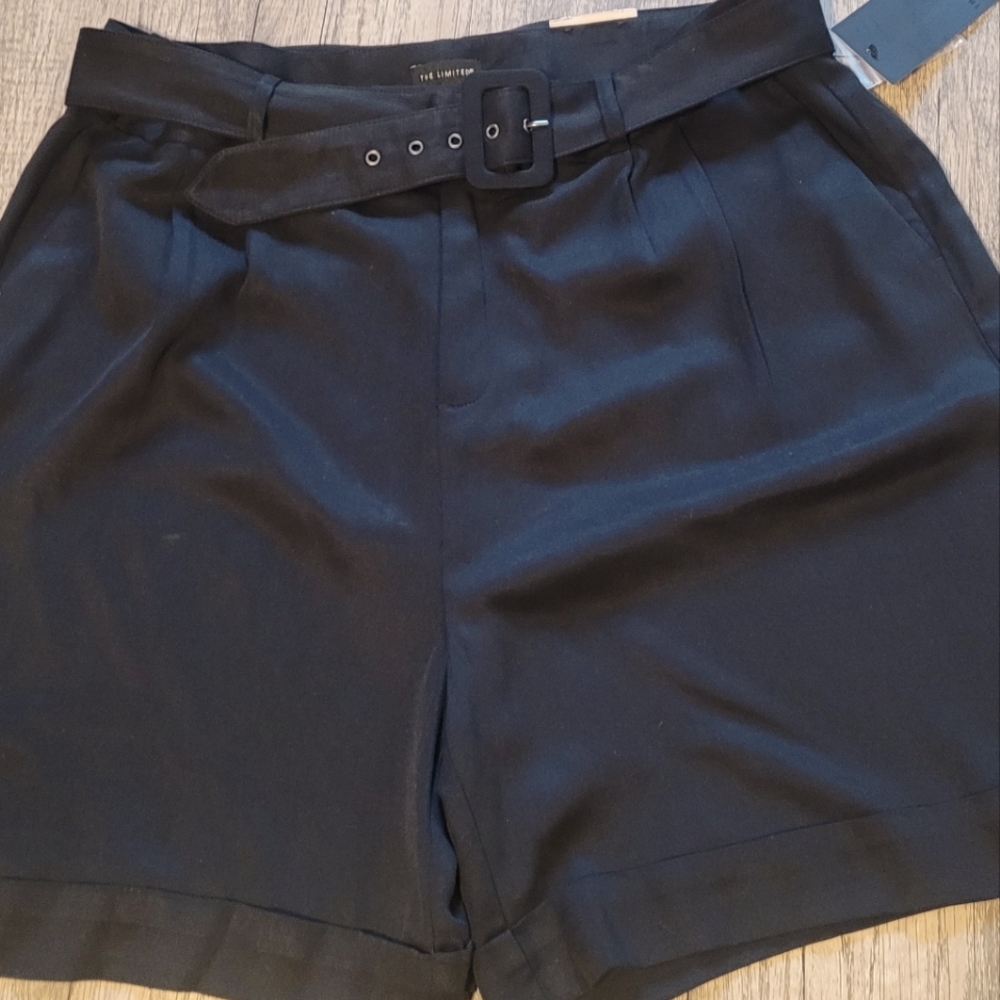 The Limited women's shorts size 16